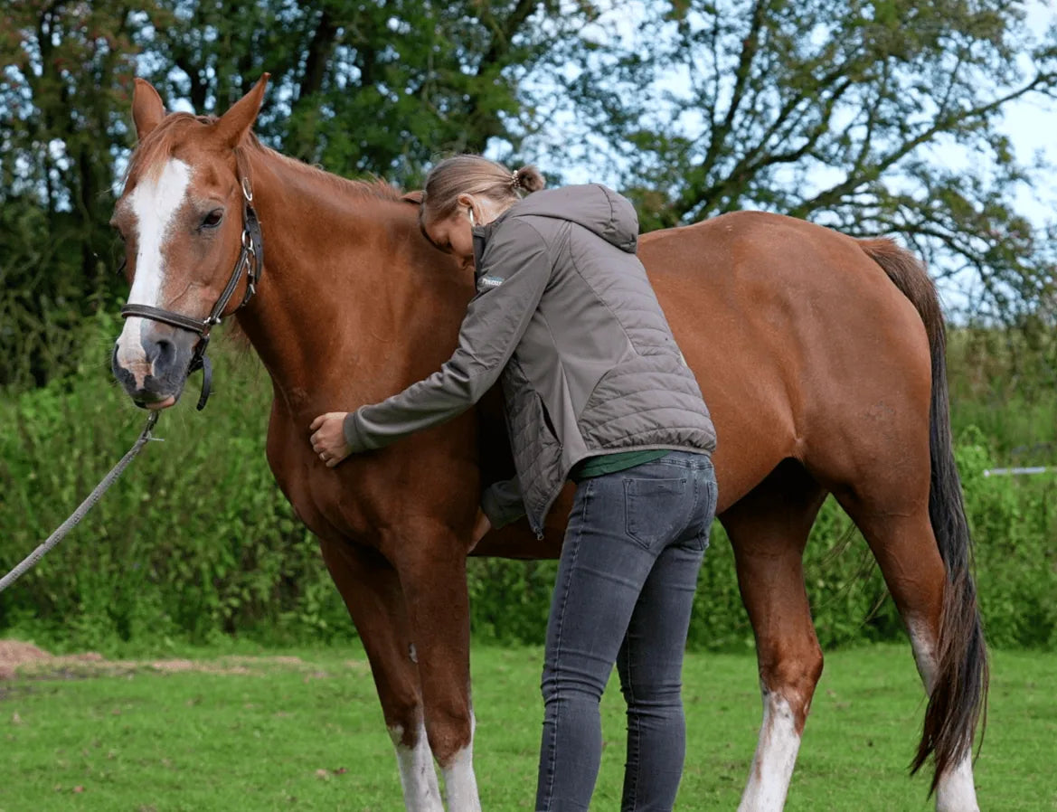 Dr. Melissa Klüver beim Untersuchungsgang